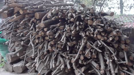 A-pile-thick-logs-and-thin-branches-for-firewood-stacked-at-the-yard-of-a-rural-house