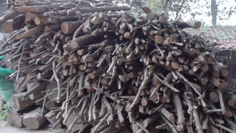 a pile thick logs and thin branches for firewood stacked at the yard of a rural house