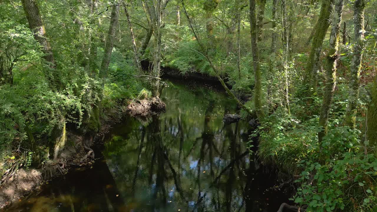 Small River In The Protected Nature Of Castaños de Francos In Maceda, Province of Ourense, Spain. Pullback Shot