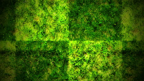 lush green moss thriving on detailed surface