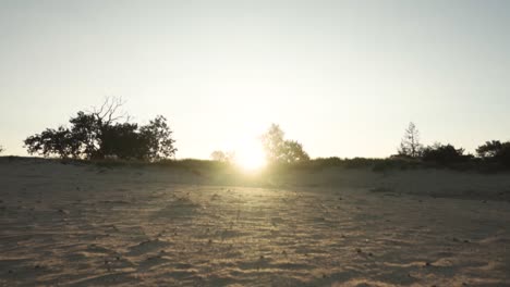 sunrise over sand dunes