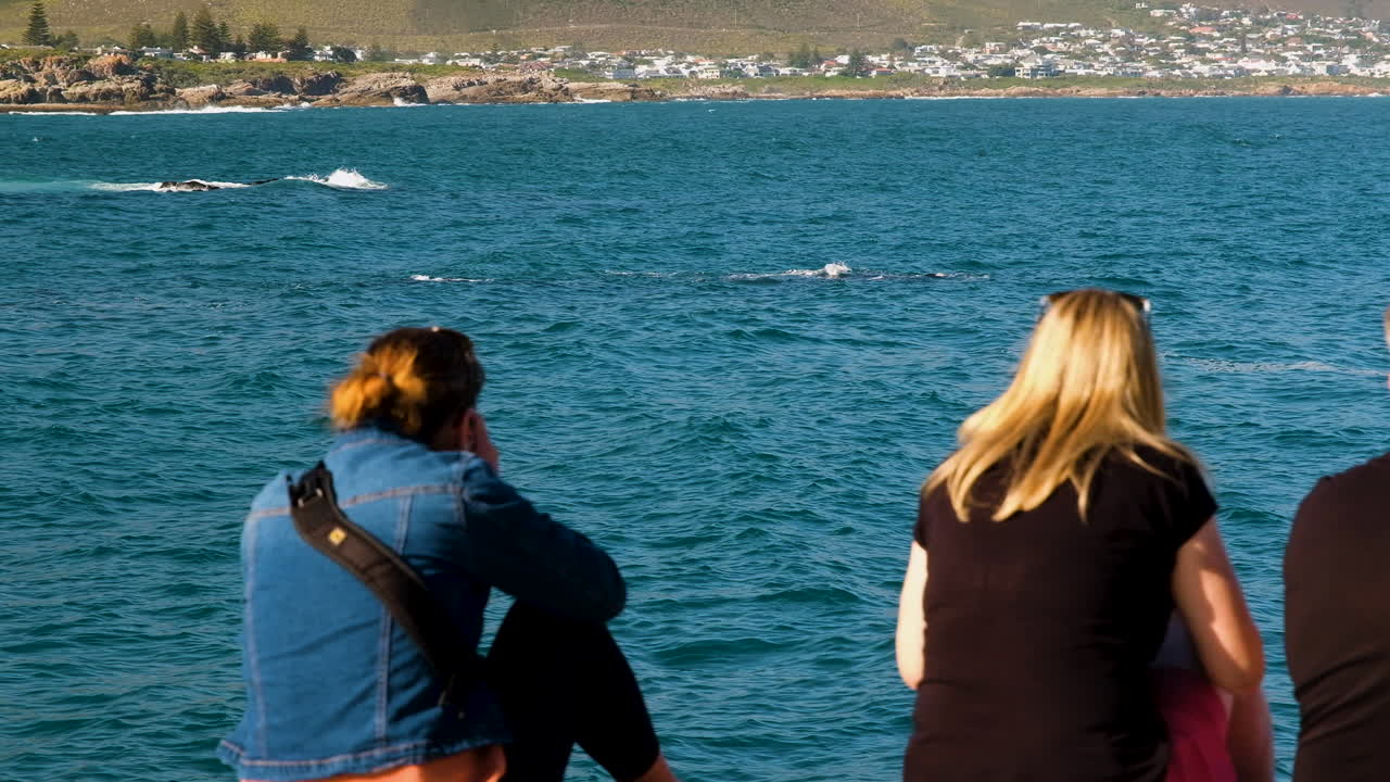 hermanus에서 해안선 고래 관찰에 두 여자