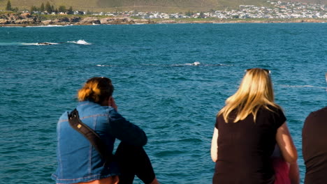 two women on coastline whale watching in hermanus