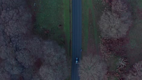 Luftaufnahme-Einer-Drohne-Von-Oben-Nach-Unten-Des-Verkehrs-Auf-Der-Hauptstraße-Im-Richmond-Park-In-London