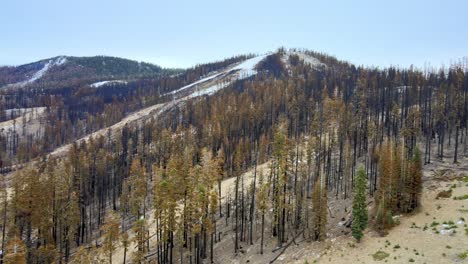 Aerial-view-Sierra-At-Tahoe-ski-resort-forest-in-autumn,-California-mountains,-Lake-Tahoe-area-After-Caldor-Wildfire