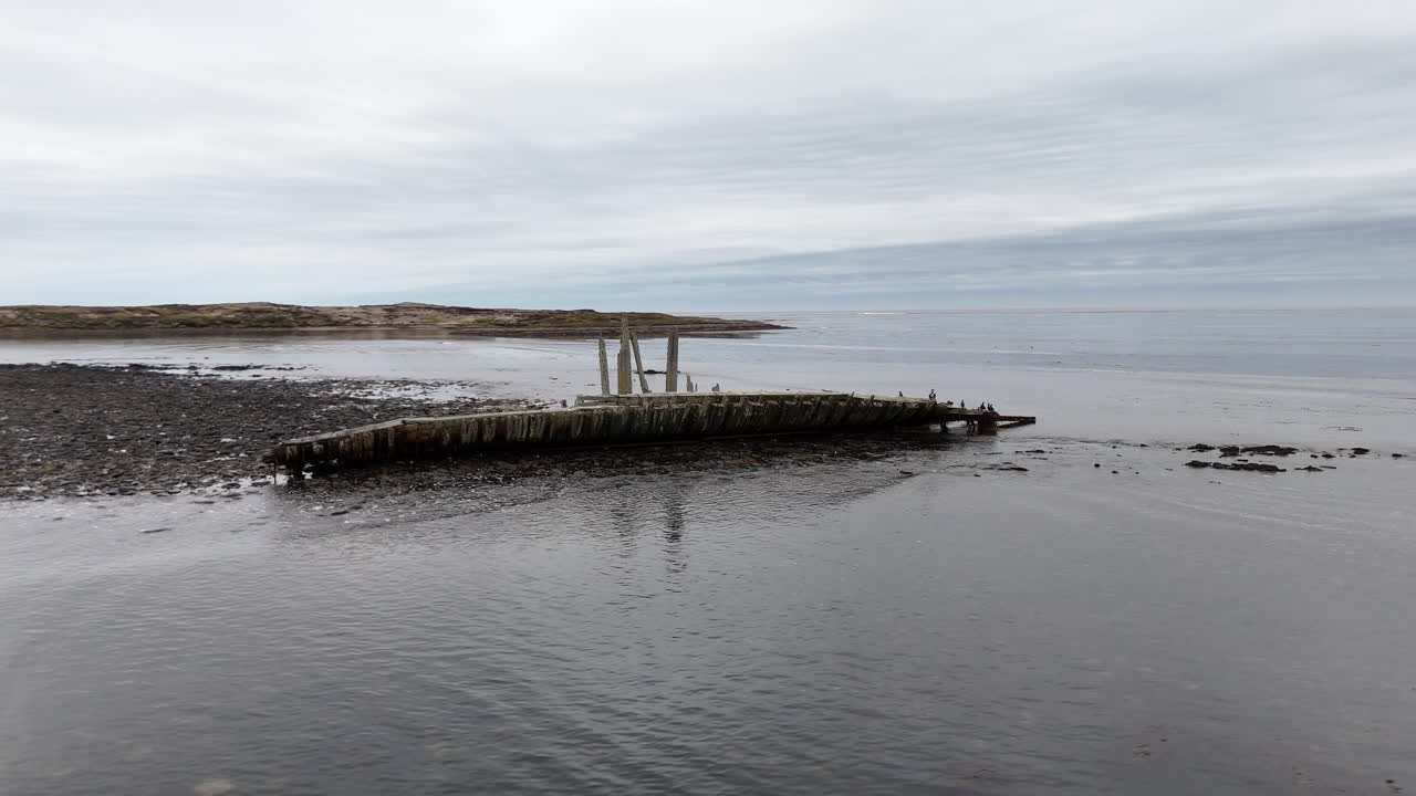 Aerial shot of driftwood on the shore of East Falkland near Darwin Settlement in Falkland Islands (Islas Malvinas), South Atlantic. Rotating drone footage