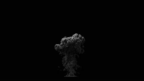 efectos de la explosión y el humo