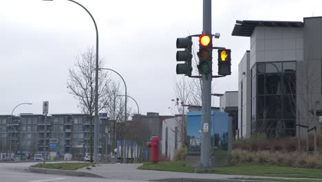 Traffic-light-on-red-in-residential-intersection-with-a-black-car-passing-across-the-frame