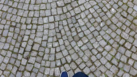 camino de adoquines