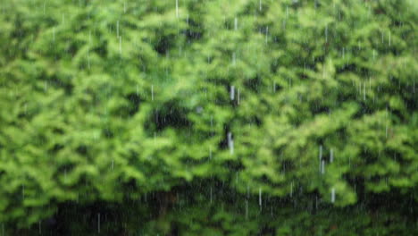 heavy-rain-during-summer-in-slow-motion