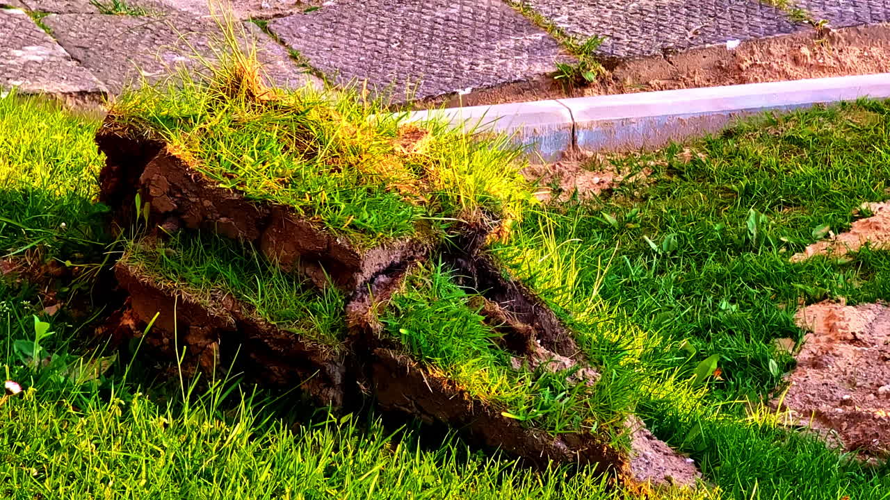 Uneven patches of uprooted turf stacked on grass next to a construction site curb