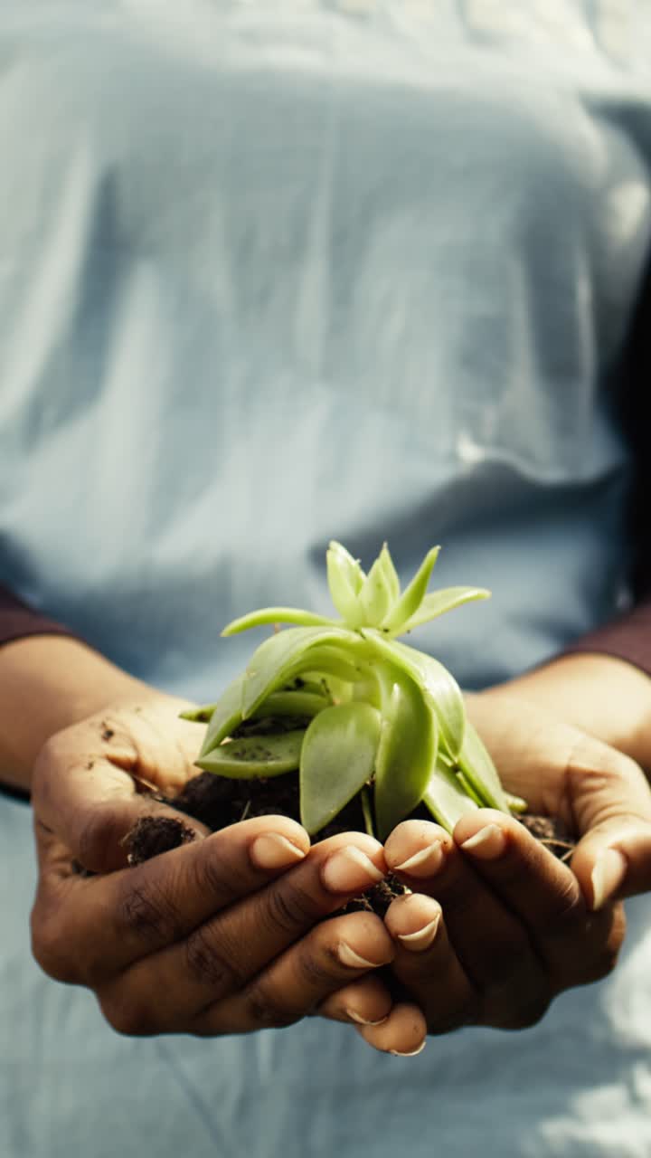 Young Black Woman Volunteer Holding a Small Plant and Smiling