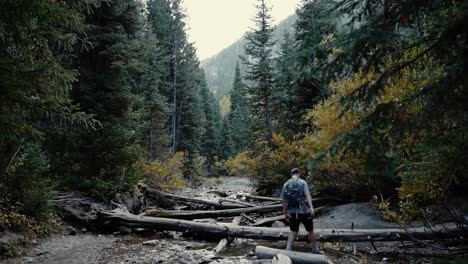 Ein-Mann-In-Den-Zwanzigern-Geht-In-Einem-Wunderschönen-Herbstwald-In-Der-Großen-Cottonwood-Schlucht-In-Ut-Auf-Baumstämmen-Einen-Fluss-Hinunter