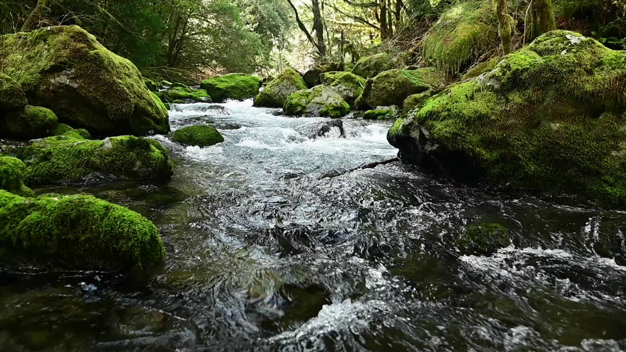 Elk River rapids straight on, Oregon