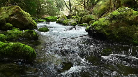 Los-Rápidos-Del-Río-Elk-Siguen-Recto,-Oregon