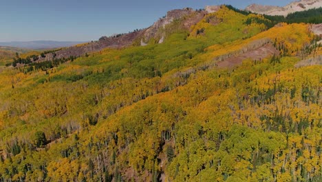 Espen-Drehen-Am-Kebler-Pass,-Colorado