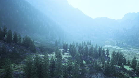 Swiss-Alps-with-Green-alpine-meadow-on-a-hillside-and-surrounded-by-forests