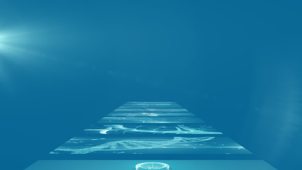 의학 데이터 처리에 반대하는 분자 구조