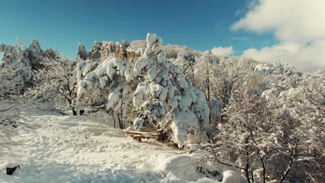 paisaje de montaña nevada