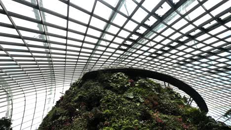 cloud forest dome structure at gardens by the bay in singapore