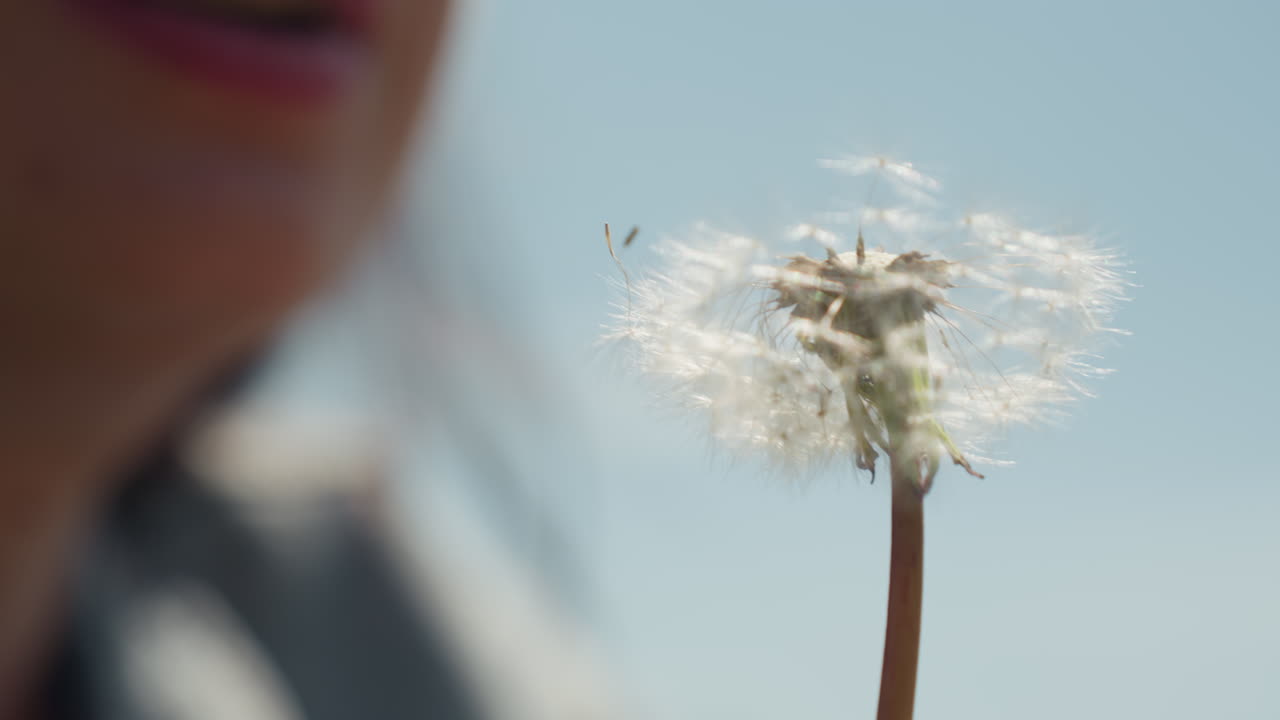Close up of girl with pink lips gently blowing dandelion puff in soft natural light, delicate white seeds beginning to drift into sky, capturing peaceful moment of nature, beauty, and youthfulness
