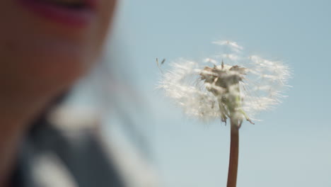 close up of girl with pink lips gently blowing dandelion puff in soft natural light, delicate white seeds beginning to drift into sky, capturing peaceful moment of nature, beauty, and youthfulness