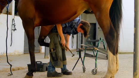 Woman-putting-horseshoes-in-horse-leg-4k