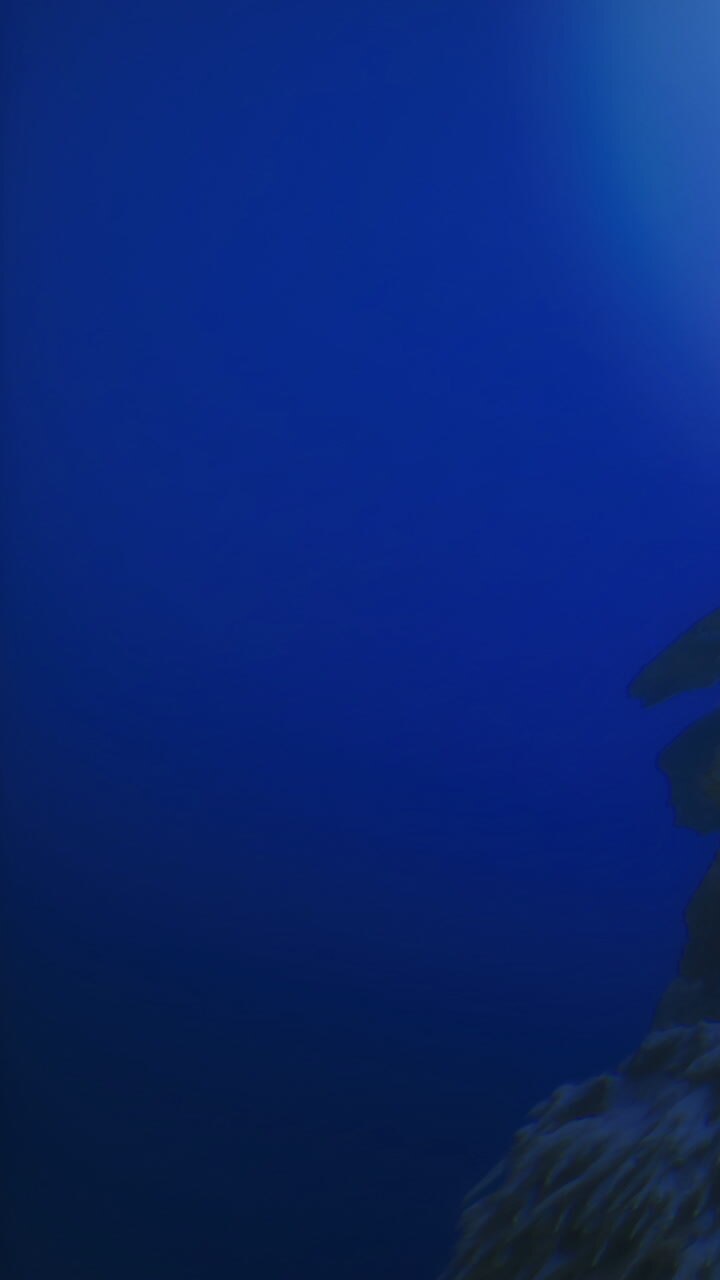 Immersione nel mare blu profondo durante un'avventura di esplorazione subacquea.