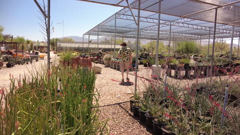 Hombre-Caminando-En-El-Vivero-De-Cactus-Mirando-La-Variedad-De-Plantas