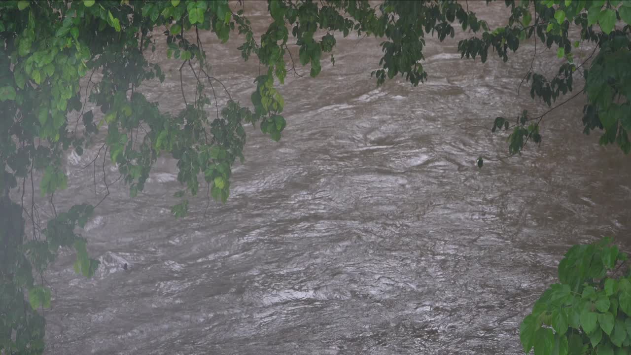 정글의 강에서 흐르는 물