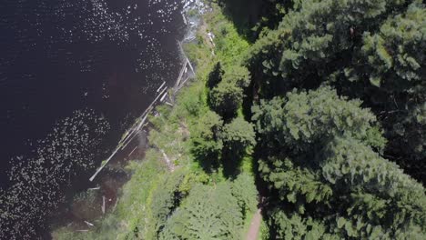 Luftaufnahmen-über-Dem-Bergsee