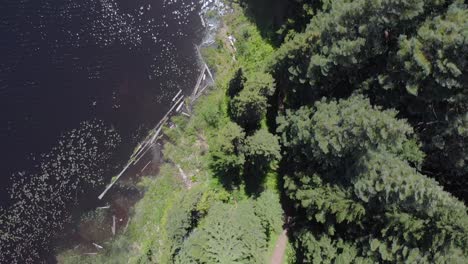 Imágenes-Aéreas-Sobre-El-Lago-De-Montaña