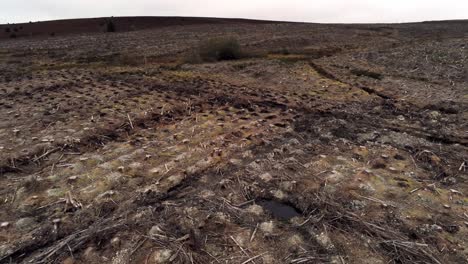 Forestry-timber-logging-harvesting-deforestation-aerial-pull-back-view-above-destroyed-woodland