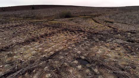 silvicultura tala de madera cosecha deforestación vista aérea hacia atrás por encima de bosques destruidos