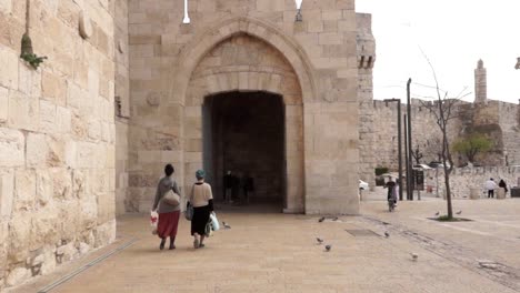 jerusalem city gate and old town scene