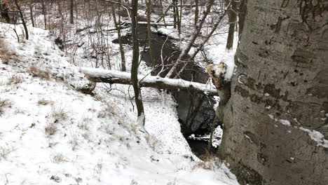 río que fluye en el bosque durante el invierno