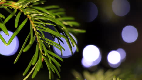 christmas tree, needled branch with led string lights, bokeh background