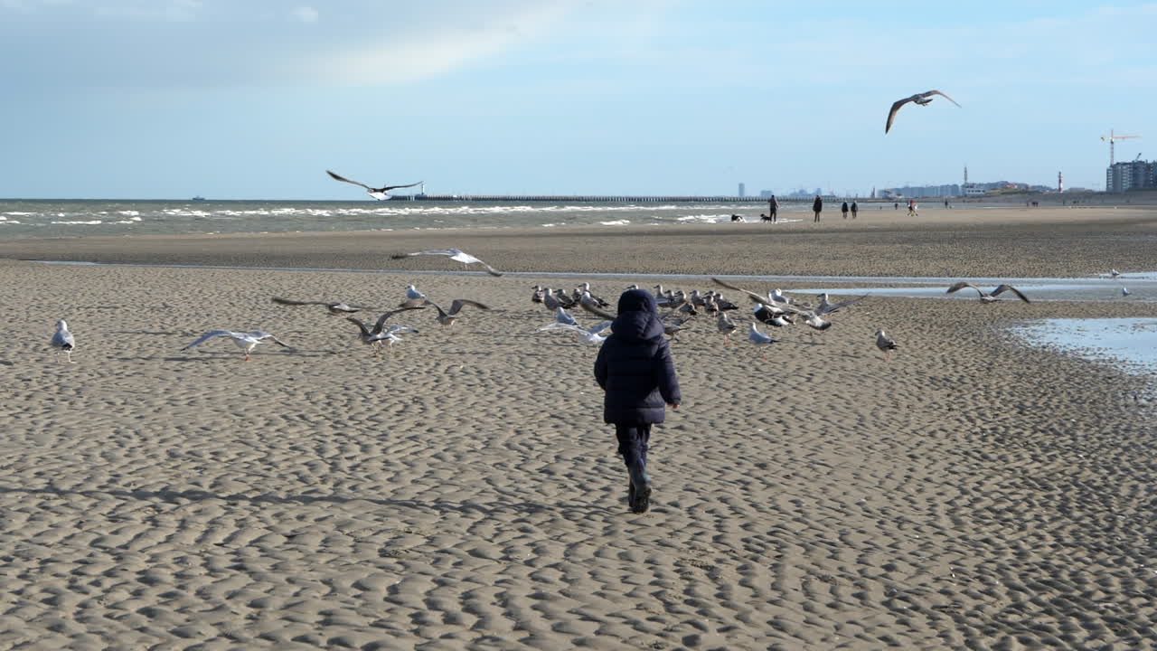 Kid in coat running on beach towards flock of seagulls, then flying away SLOMO