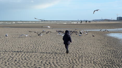 Un-Niño-Con-Abrigo-Corriendo-Por-La-Playa-Hacia-Una-Bandada-De-Gaviotas-Y-Luego-Volando-Lentamente