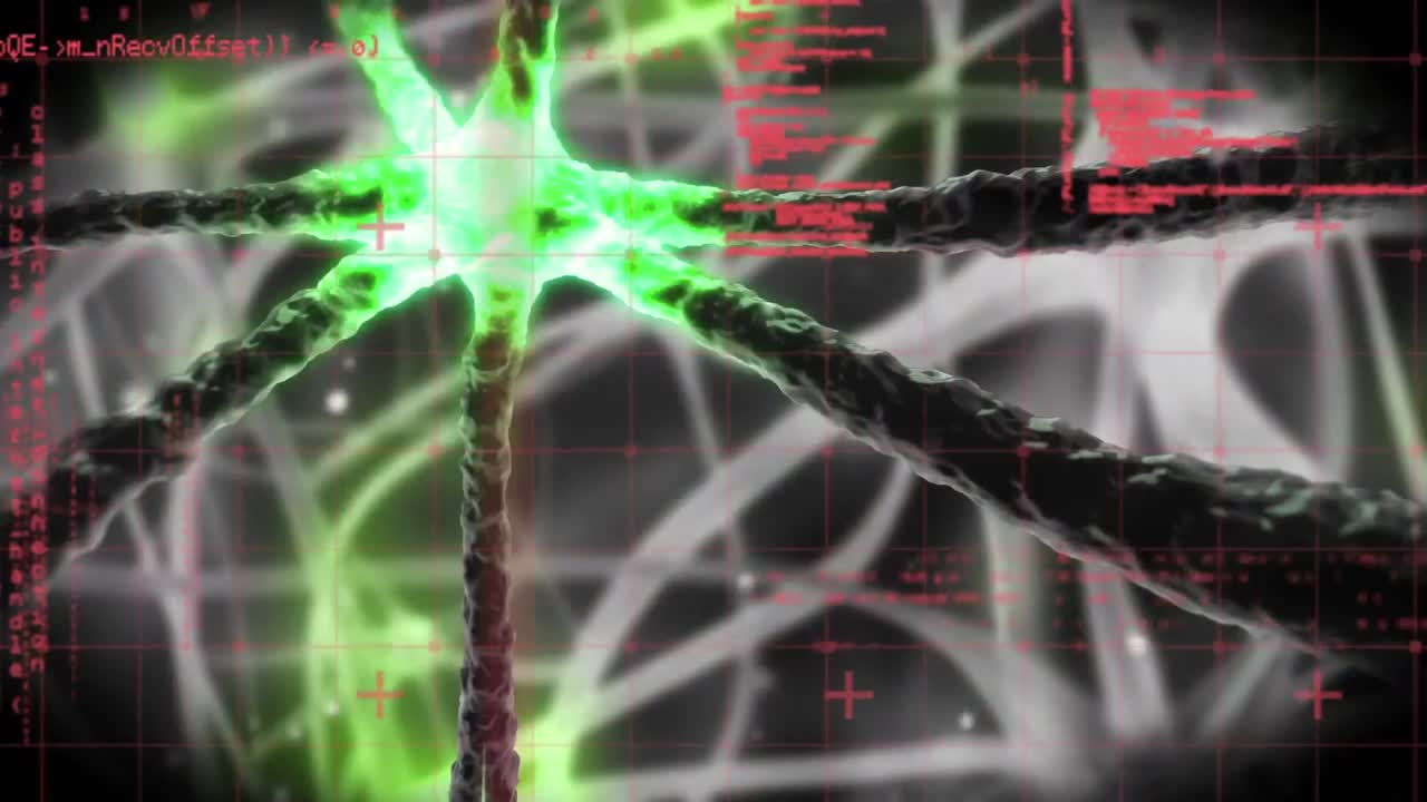 las neuronas que envían señales