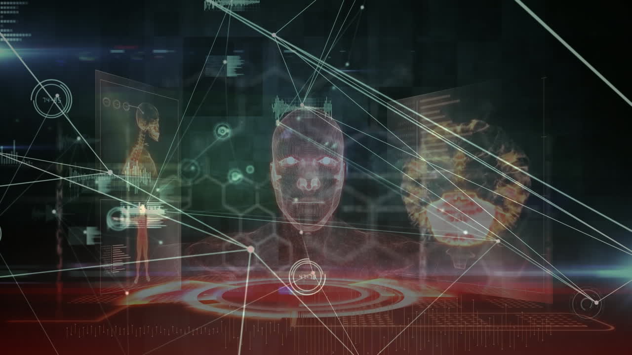 데이터 프로세싱을 통한 연결 네트워크의 애니메이션