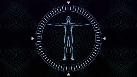 Animation-of-human-body-and-scope-with-neon-pattern-on-black-background