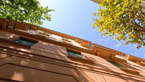 looking up at buildings and trees