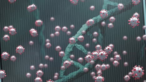animación de las células del virus sobre la hebra de adn