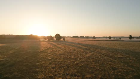 sunrise over a misty field