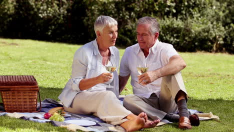 Elderly-couple-drinking-white-wine-at-a-picnic