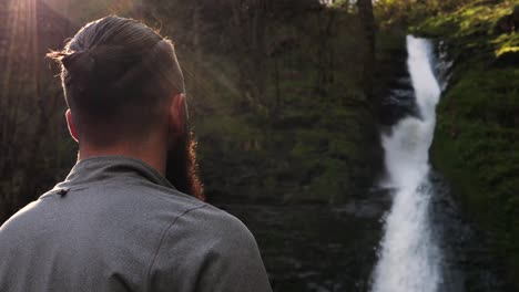 beautiful clip back view of man looking at a forest waterfall