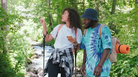 couple hiking in the forest