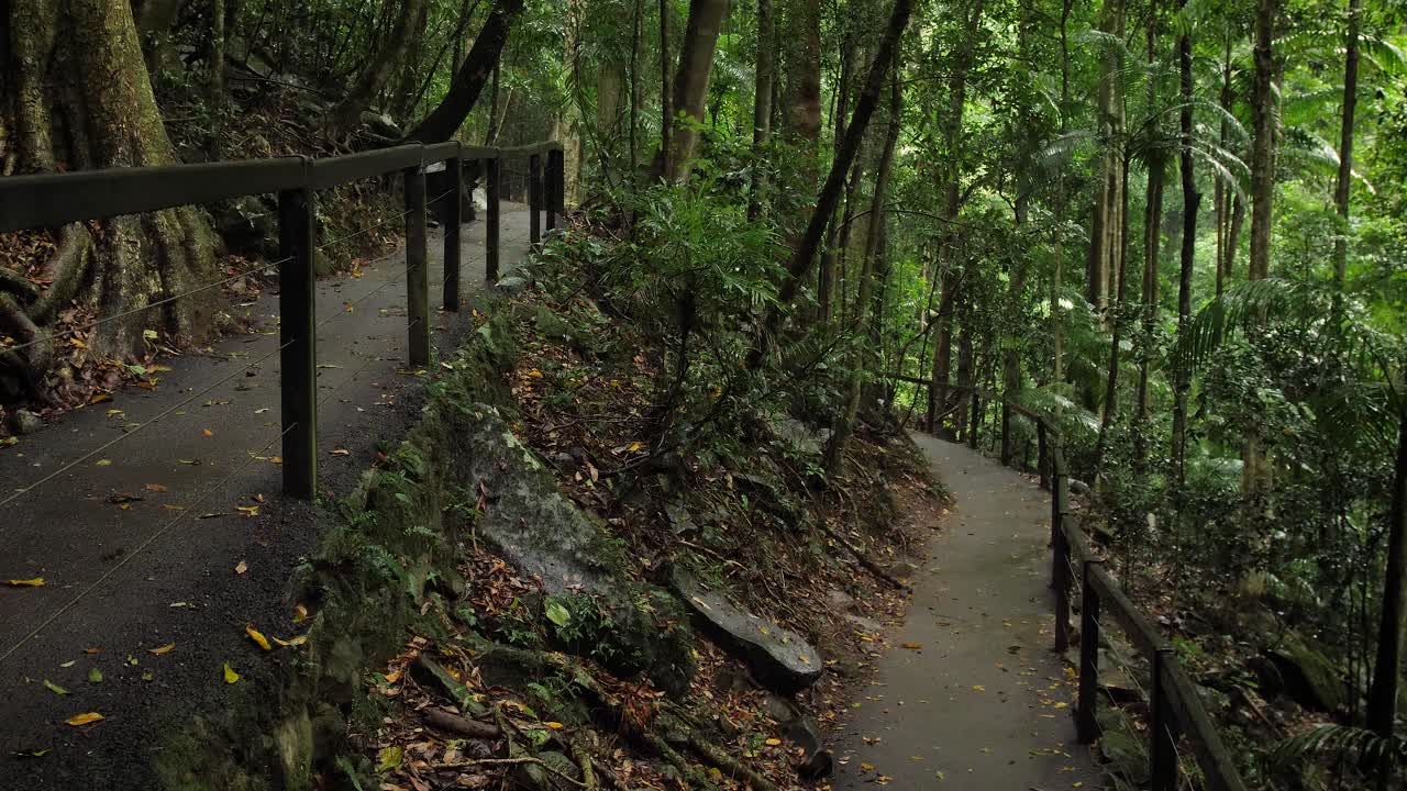 자연 다리, 스프링 브룩 국립 공원, 골드 코스트 배후지, 호주의 산책로