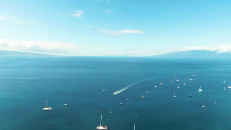 moored yachts and township of lahaina, aerial drone view